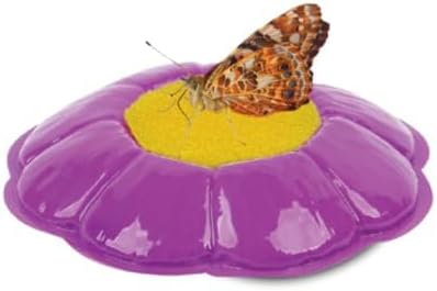 Insect Lore Butterfly Garden | Original 12" Habitat and Cup of Live Baby Caterpillars | Life Science & STEM Education Kit