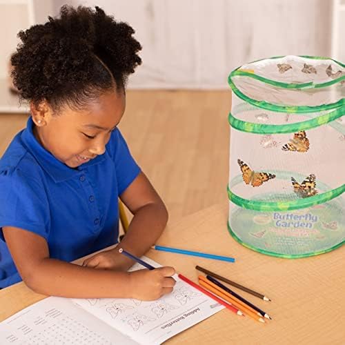 Insect Lore Butterfly Garden | Original 12" Habitat and Cup of Live Baby Caterpillars | Life Science & STEM Education Kit