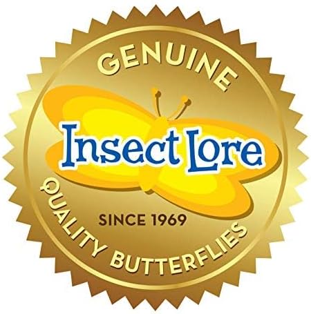 Insect Lore Butterfly Garden | Butterfly Kit with Live Caterpillars | 5 Caterpillars, Reusable Habitat, STEM Butterfly Journal & More