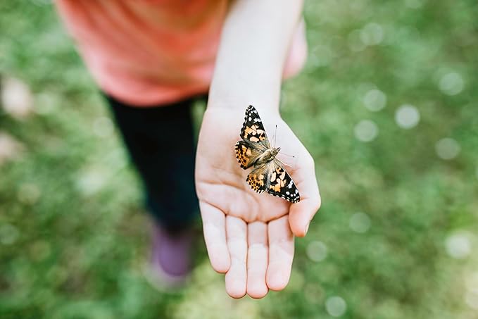 Insect Lore Butterfly Garden | Butterfly Kit with Live Caterpillars | 5 Caterpillars, Reusable Habitat, STEM Butterfly Journal & More