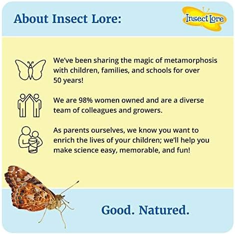 Insect Lore Butterfly Garden | Butterfly Kit with Live Caterpillars | 5 Caterpillars, Reusable Habitat, STEM Butterfly Journal & More